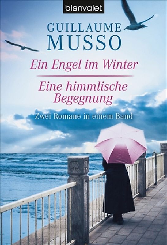 Ein Engel im Winter / Eine himmlische Begegnung