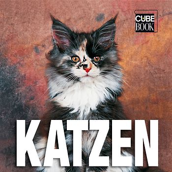 Katzen