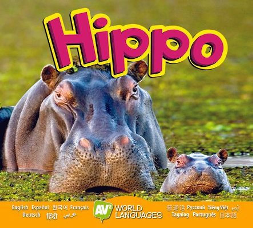 Hippo
