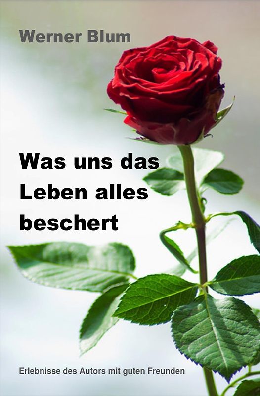 Geschichten von Werner Blum / Band 2 - Was uns das Leben alles beschert