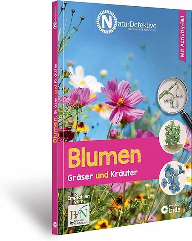 Blumen, Gräser und Kräuter