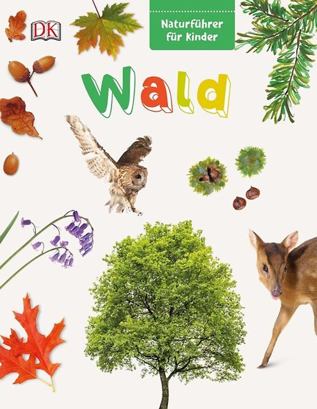 Naturführer für Kinder. Wald