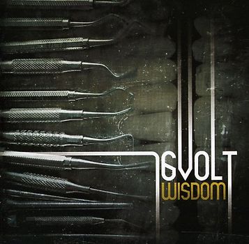 16 Volt - Wisdom