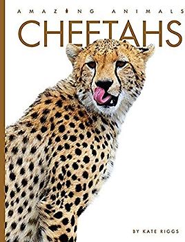 Cheetahs (Amazing Animals)
