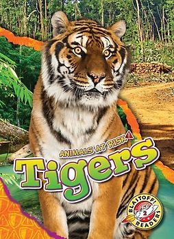 Tigers