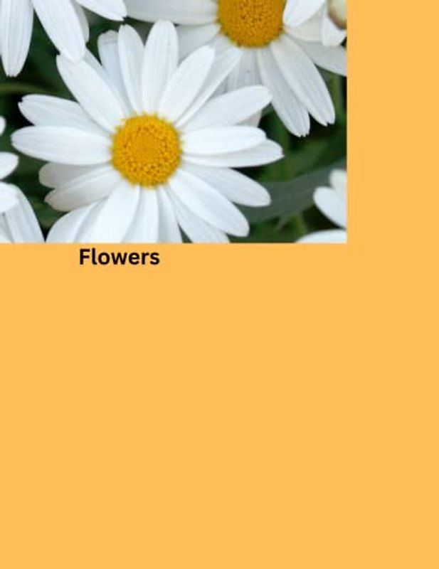 Flowers: Thirty coloring pages to calm and relax the mind. For all ages.