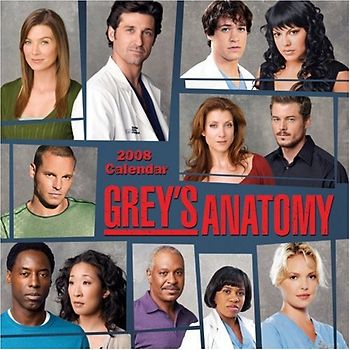 Grey's Anatomy: 2008 Calendar