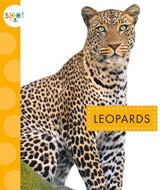 Leopards