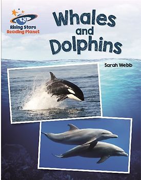 Reading Planet - Whales and Dolphins - White: Galaxy