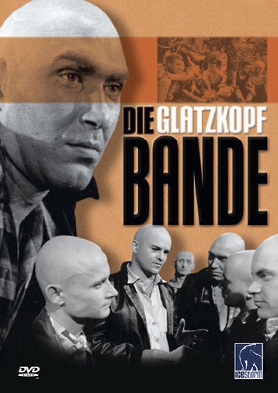 Die Glatzkopfbande DVD