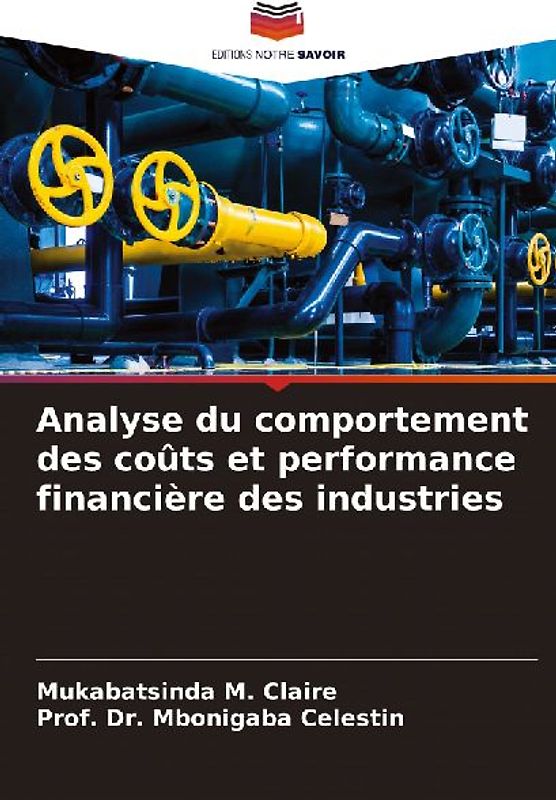Analyse du comportement des coûts et performance financière des industries