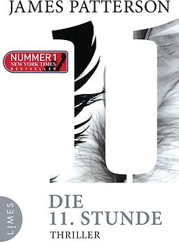 Die 11. Stunde. Thriller