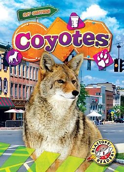 Coyotes