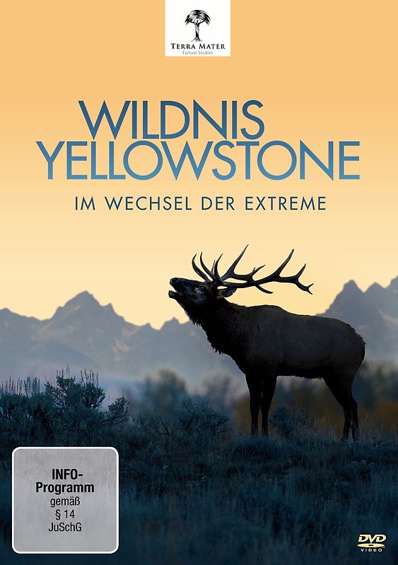Wildnis Yellowstone - Im Wechsel der Extreme DVD