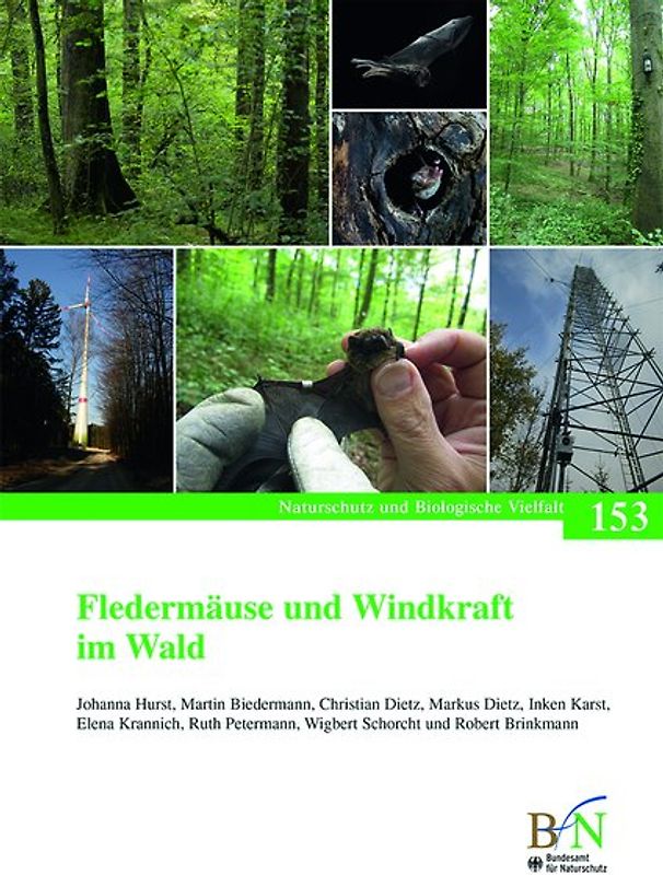 Fledermäuse und Windkraft im Wald