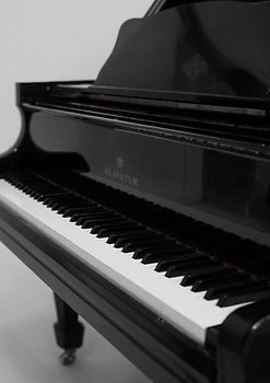 Music Booklet: DIN A4 Staff Book | 46 Pages with 12 Staves / Systems per Sheet | Paper 90g/m²