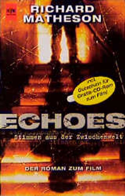 Echoes & Stimmen aus der Zwischenwelt. Der Roman zum Film