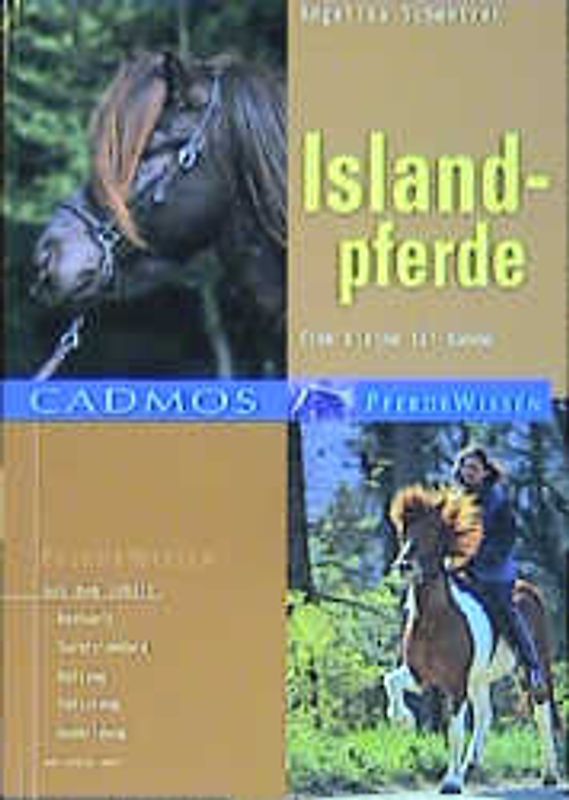 Islandpferde
