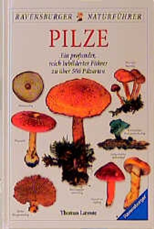 Handbuch Pilze