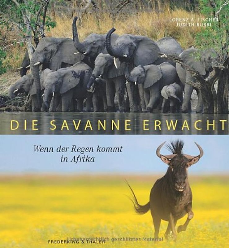 Die Savanne erwacht