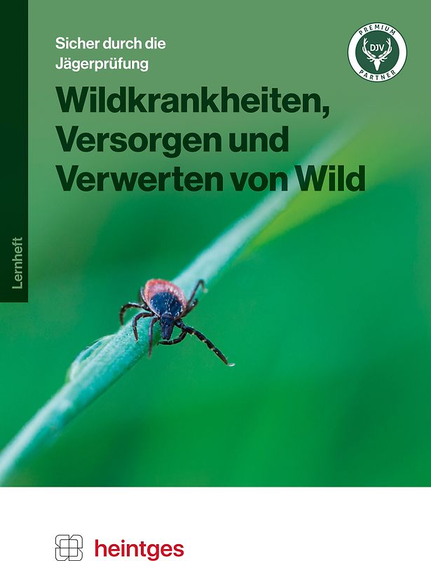 Wildkrankheiten, Versorgen und Verwerten von Wild