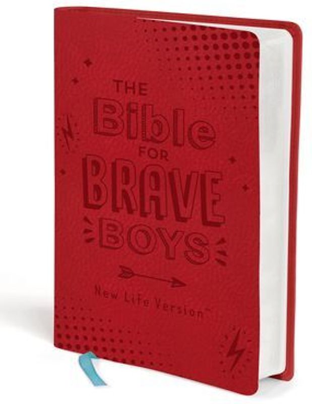 The Bible for Brave Boys