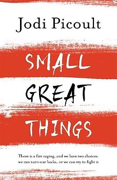 Small Great Things: The bestselling novel you won't want to miss: 'To Kill a Mockingbird for the 21st Century'