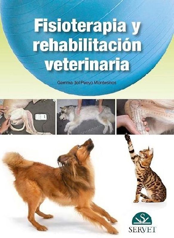 Fisioterapia Y Rehabilitación