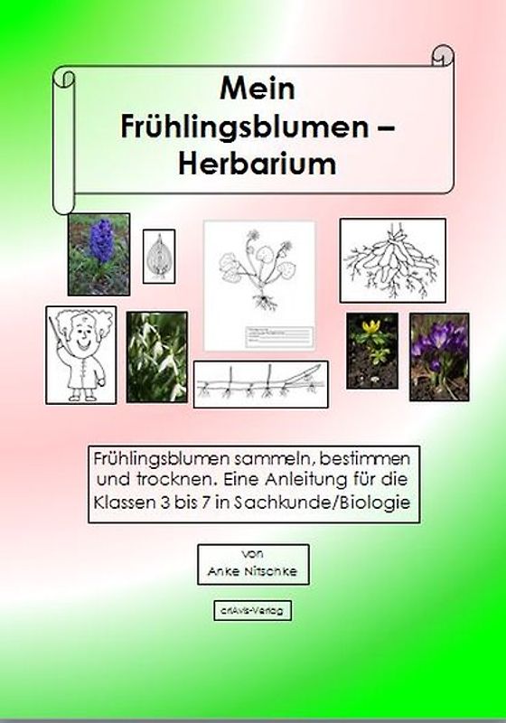 Mein Herbarium der Frühlingsblumen