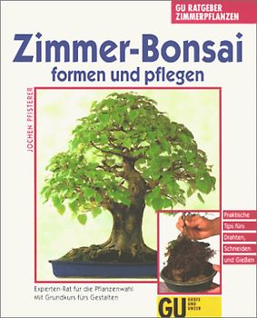 Zimmer-Bonsai formen und pflegen