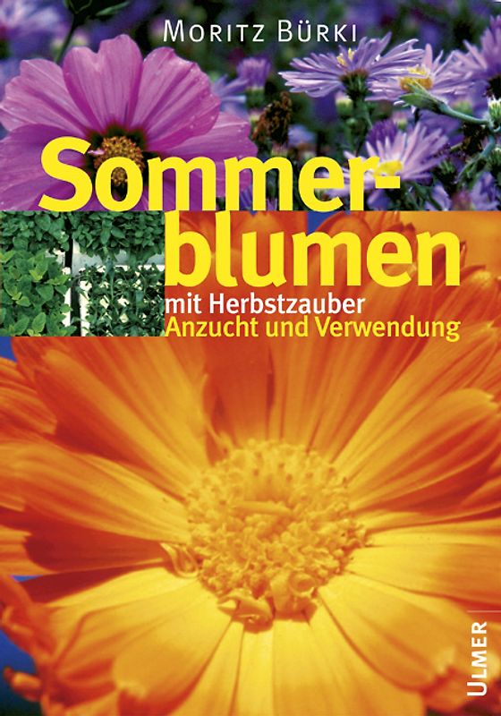 Bildatlas Sommerblumen mit Herbstzauber