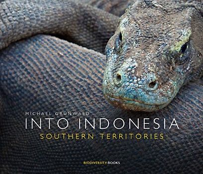 Into Indonesia