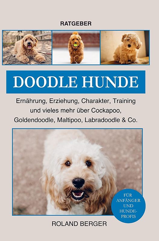 Doodle Hunde - Ernährung, Erziehung, Charakter, Training [Taschenbuch]