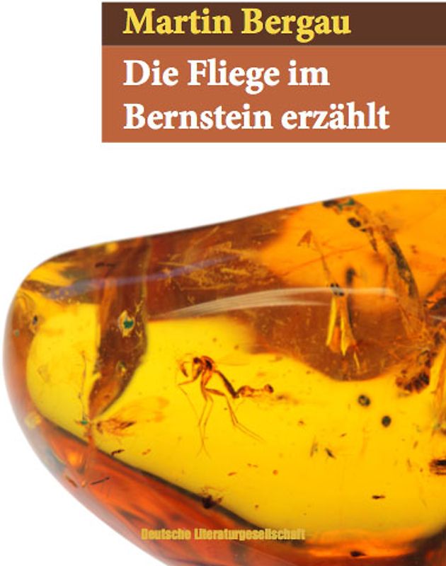 Die Fliege im Bernstein erzählt