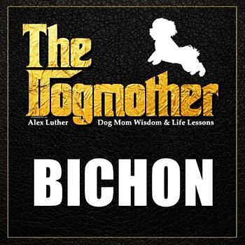 The Dogmother: Bichon: (Dog Mom Wisdom & Life Lessons)