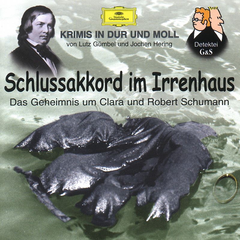 Hubert Schlemmer - Krimis-Schlussakkord im Irrenhaus (Schumann)