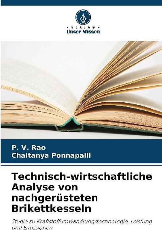 Technisch-wirtschaftliche Analyse von nachgerüsteten Brikettkesseln