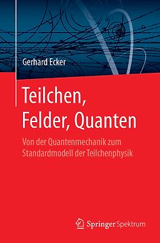 Teilchen, Felder, Quanten