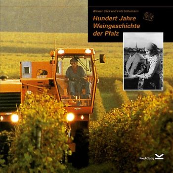 Hundert Jahre Weingeschichte der Pfalz