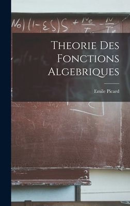 Theorie Des Fonctions Algebriques