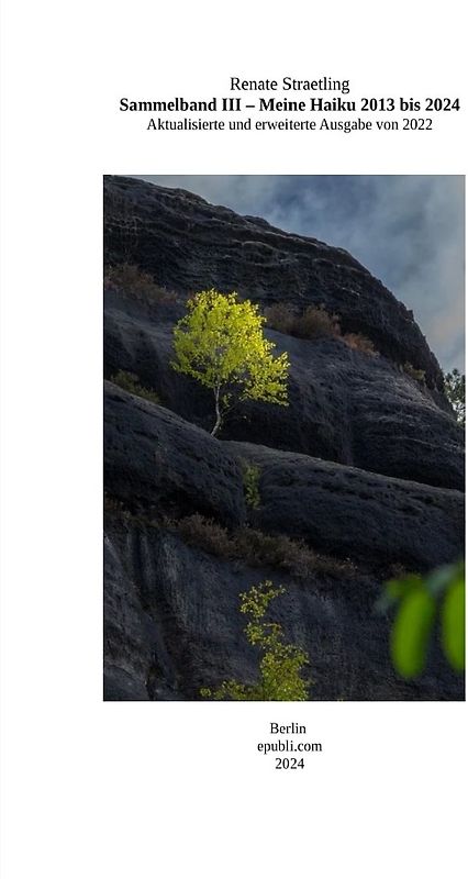 Sammelband III - Meine Haiku 2013-2024