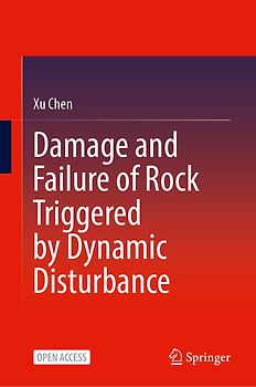 Damage and Failure of Rock Triggered by Dynamic Disturbance