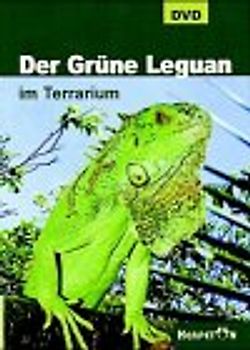 Der Grüne Leguan im Terrarium DVD