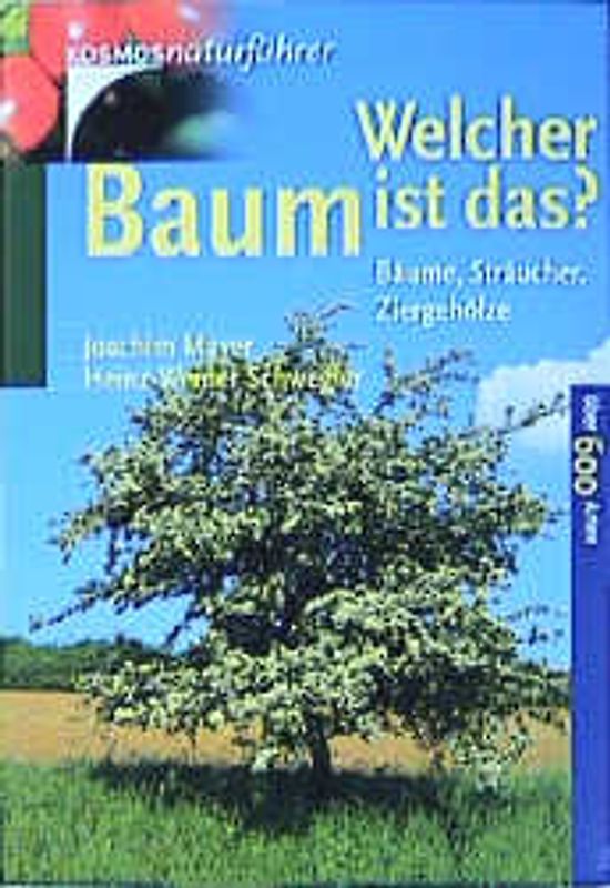 Welcher Baum ist das?