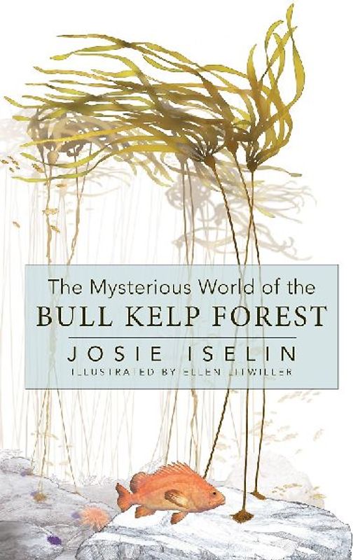 The Mysterious World of the Bull Kelp Forest