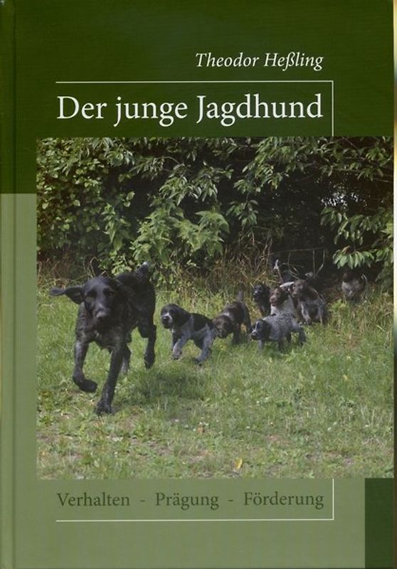 Der junge Jagdhund