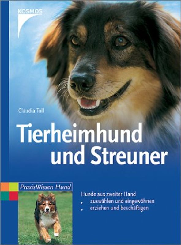 Tierheimhund und Streuner