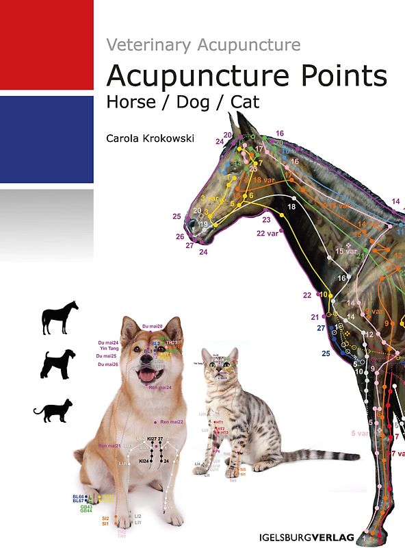 Acupuncture Points - Horse / Dog / Cat