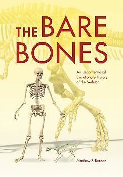 The Bare Bones