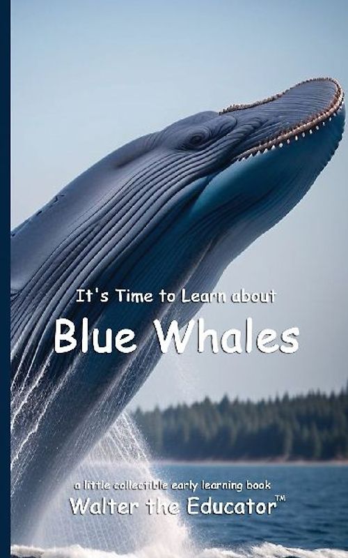 It's Time to Learn about Blue Whales